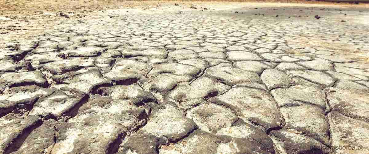 Tempo atmosférico da caatinga características e influências climáticas