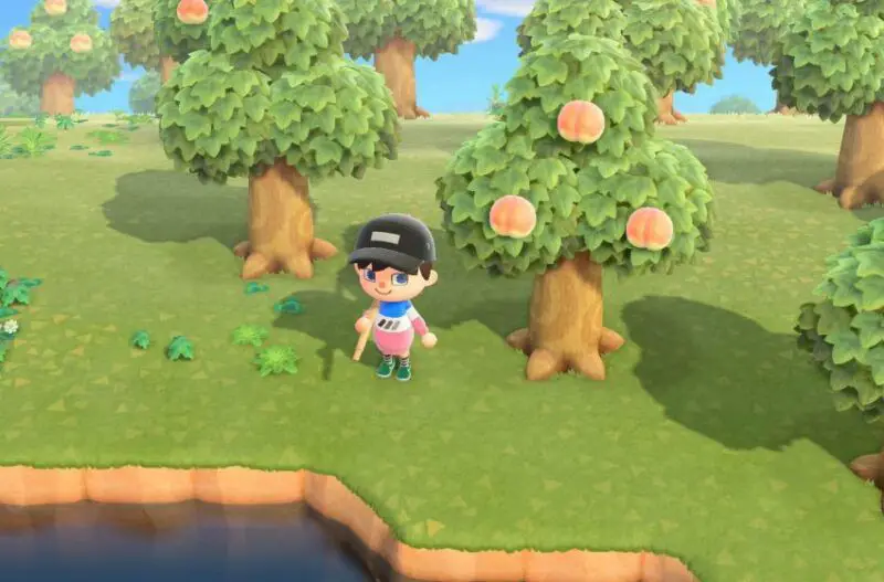 Como cortar árvores em Animal Crossing