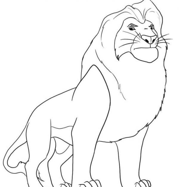 Como desenhar um leão - 5 passos