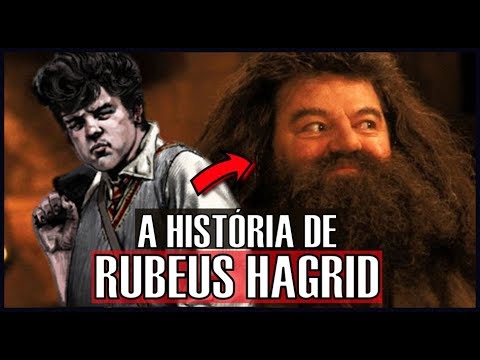 Em que casa está o Hagrid?