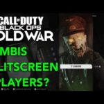 Pode jogar Cold War Zombies em ecră dividido?