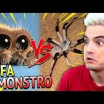 Qual é a aranha mais feia?