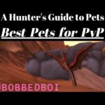 Qual é o melhor animal de estimação de caçador para PvP?