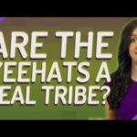O que é um Yeehats?