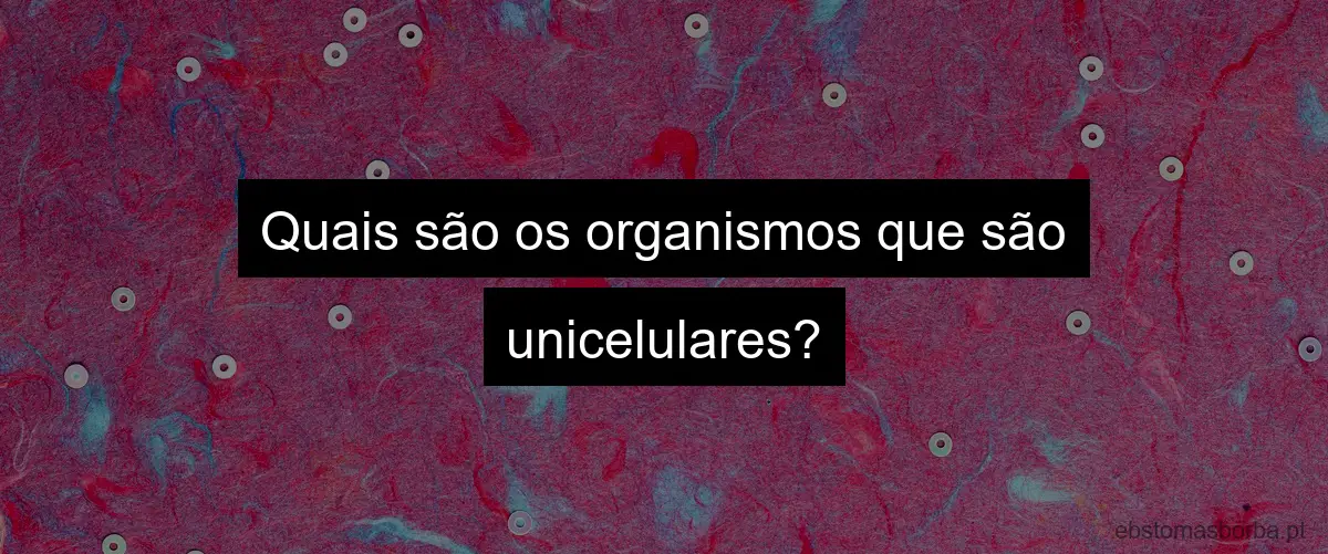 Quais são os organismos que são unicelulares?