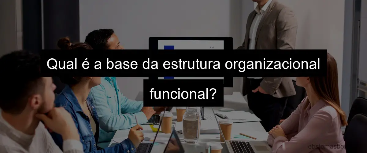 Qual é a base da estrutura organizacional funcional?