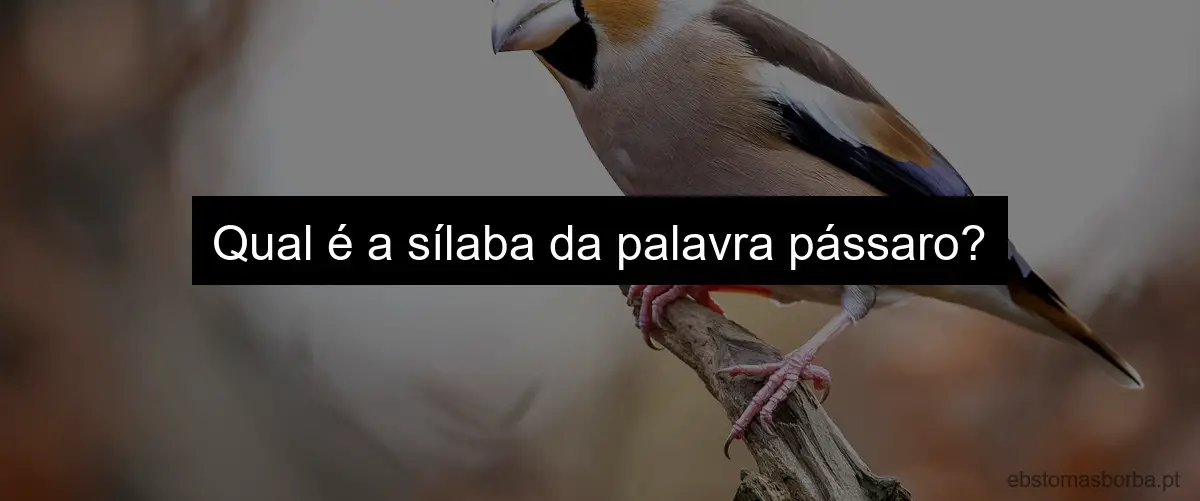 Qual é a sílaba da palavra pássaro?