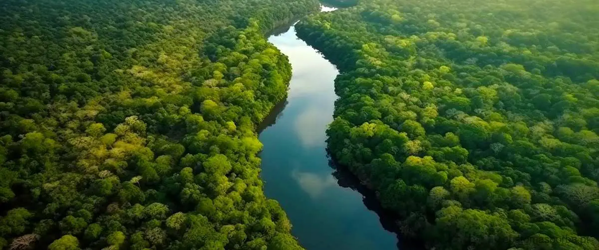 Como está a preservação do rio Tietê?