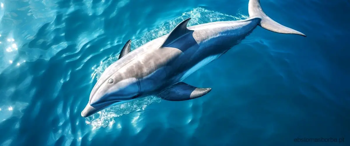 Descoberta científica: golfinhos que se transformam em cangurus!