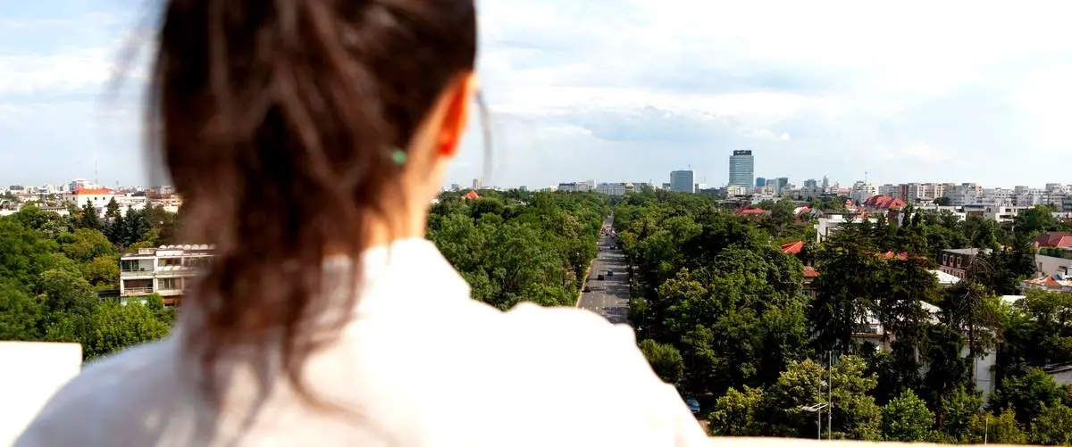 Descubra a verdadeira distância em linha reta de uma cidade localizada em São Paulo
