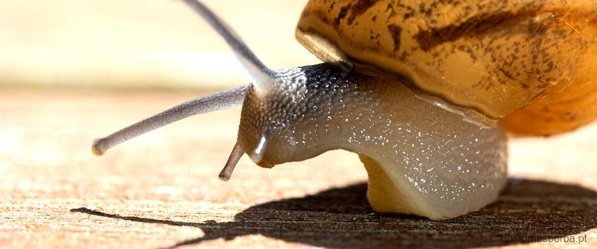 É um ditongo ou hiato?É um ditongo ou um hiato?