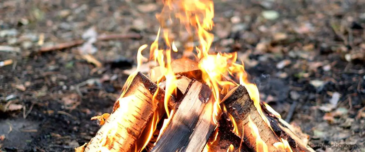 É verdade que todas as queimadas no Cerrado ocorrem espontaneamente?