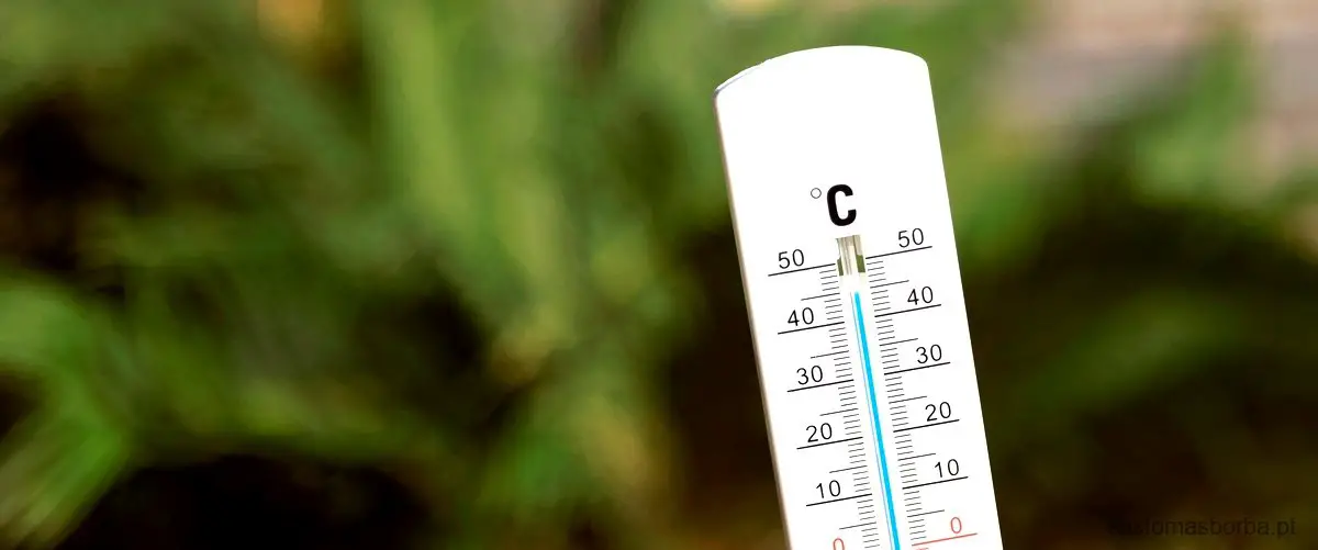 O pluviômetro: instrumento essencial para medir o índice pluviométrico