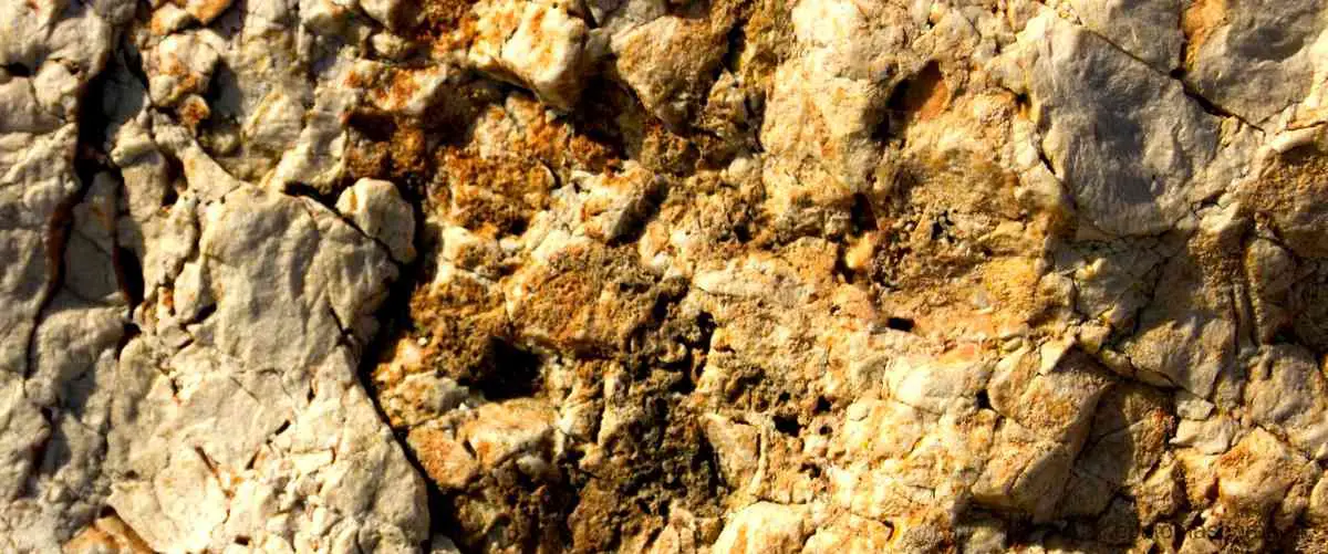 Por que as rochas sedimentares são importantes para o estudo da evolução geológica da Terra?