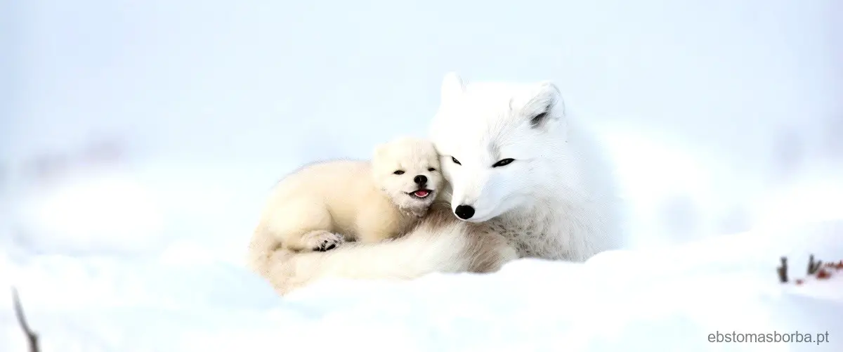 Quais são os animais que vivem na neve?