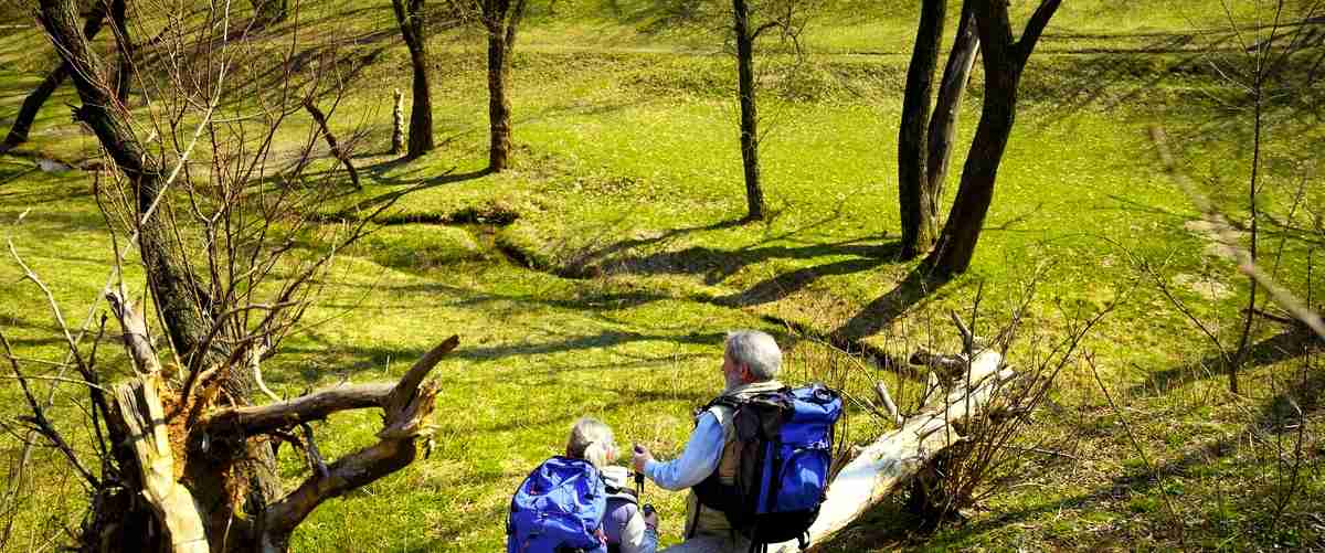 Cite Dois Exemplos De Relações Ecológicas Harmônicas