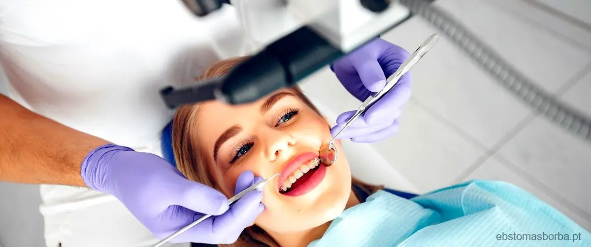 Quais são os nomes dos 4 tipos de dentes?