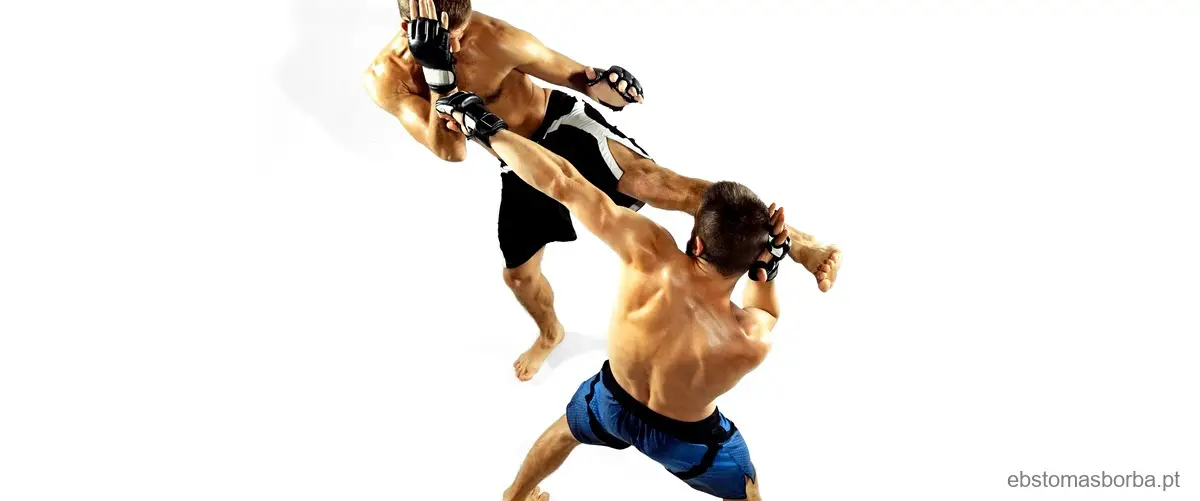Qual é a importância de conhecer a origem e a história das lutas e artes marciais na educação física?