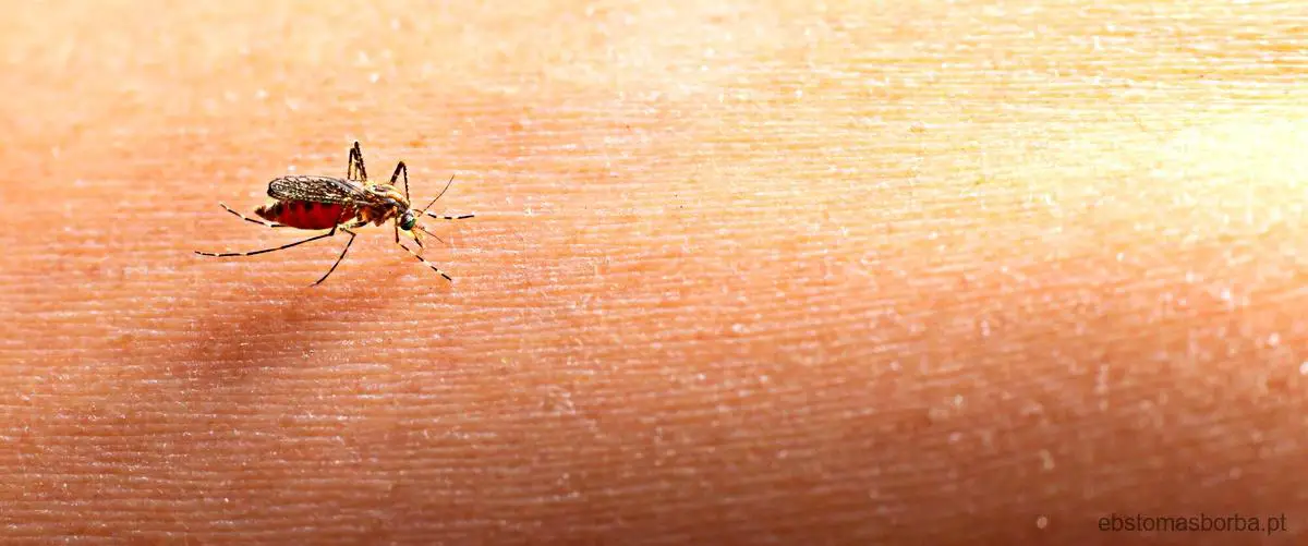 Qual é a melhor alimentação para acelerar a recuperação da dengue?