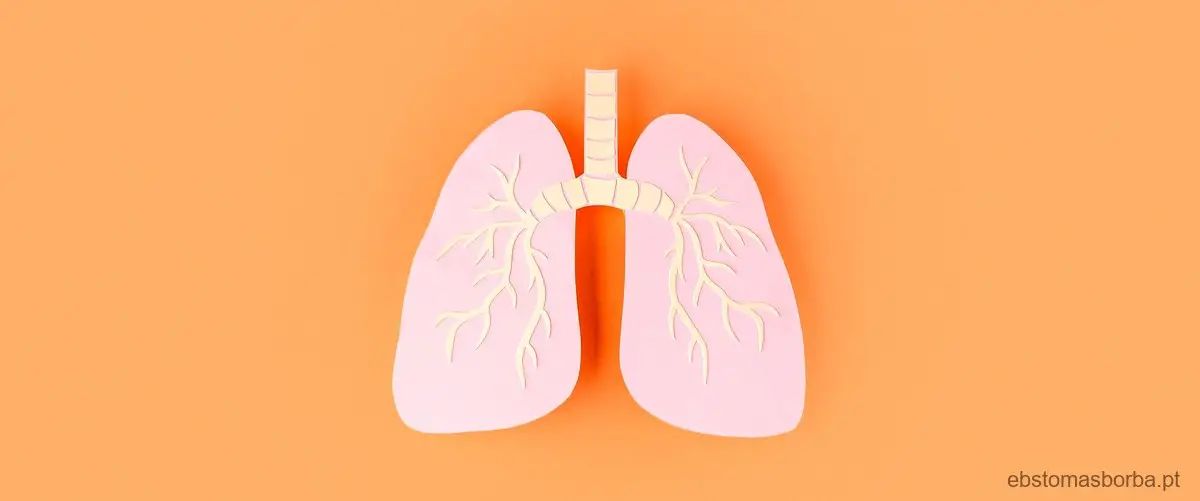 Qual é a menor unidade funcional dos pulmões?