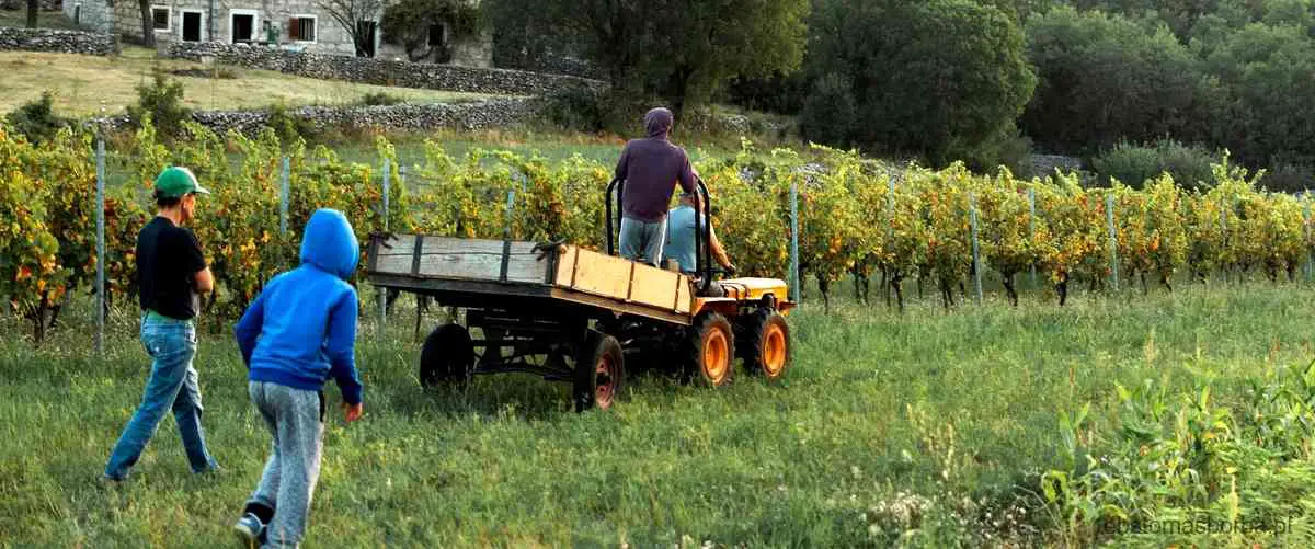 Exemplos De Profissões Comuns Na Zona Rural