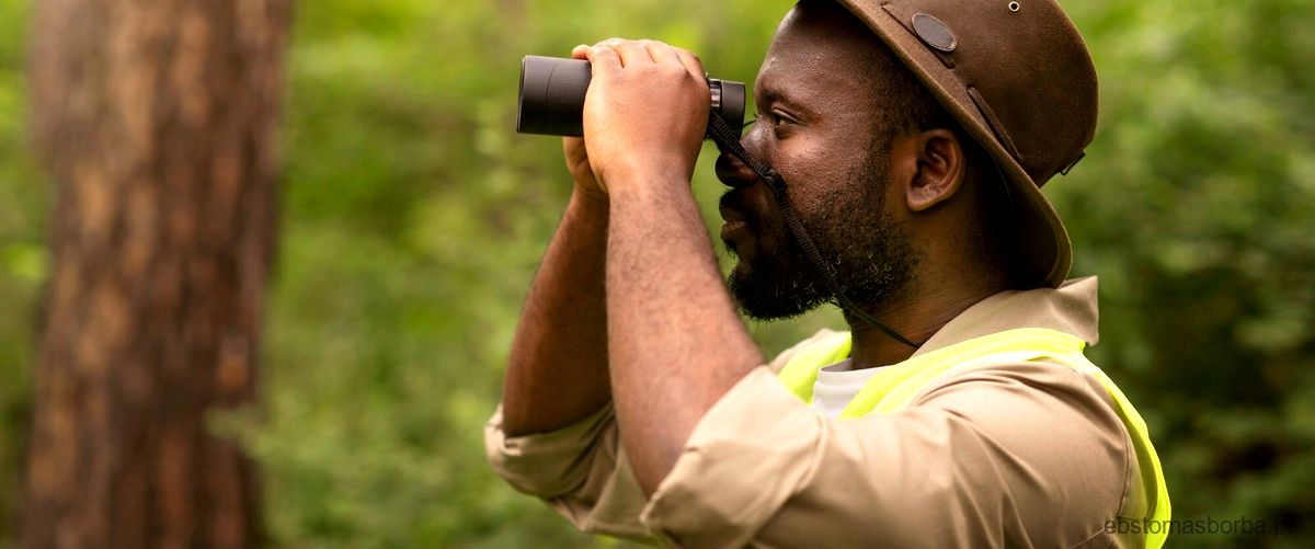 O Que É Fenômeno Da Natureza Cite 8 Exemplos