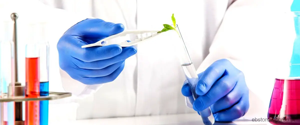 Qual é o papel da bioética na prática médica e no desenvolvimento de pesquisas científicas?