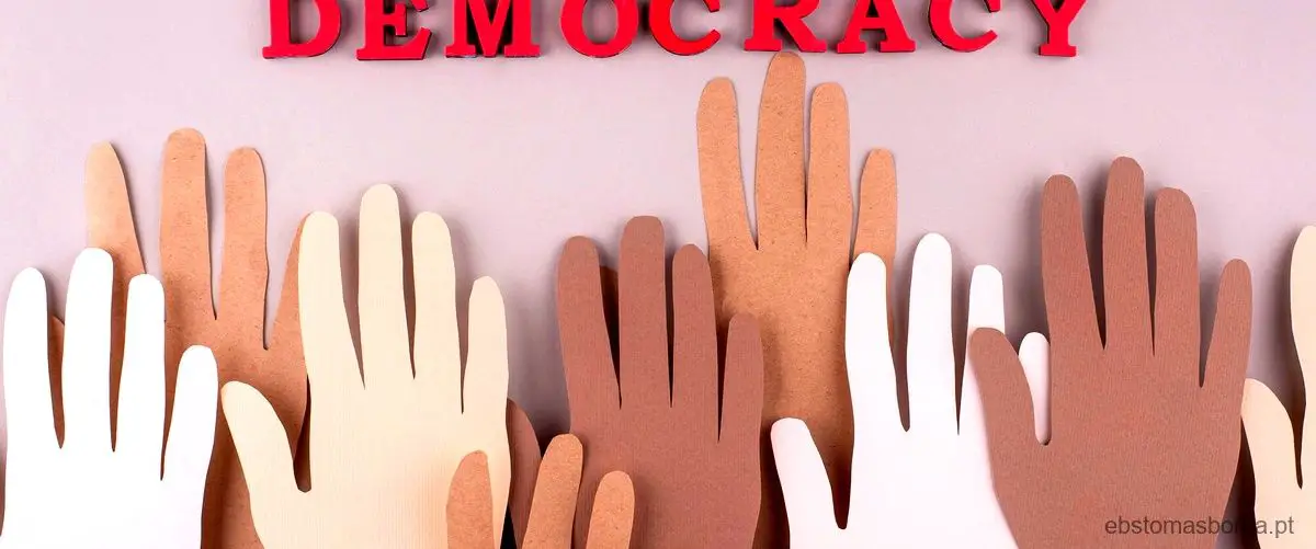 Reconhecimento mútuo de direitos: o caminho para a inclusão das minorias inatas na democracia efetiva