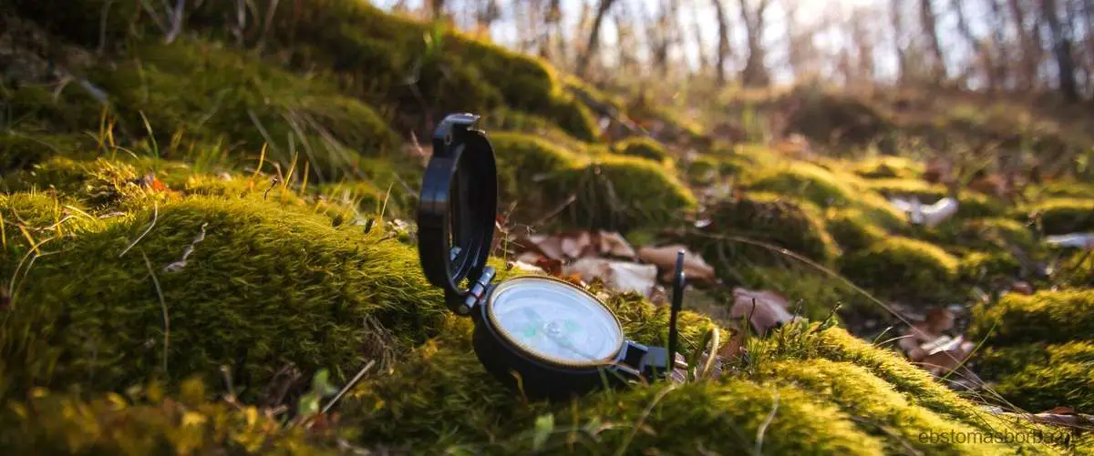 São Exemplos De Relações Ecológicas Interespecíficas Desarmônicas: